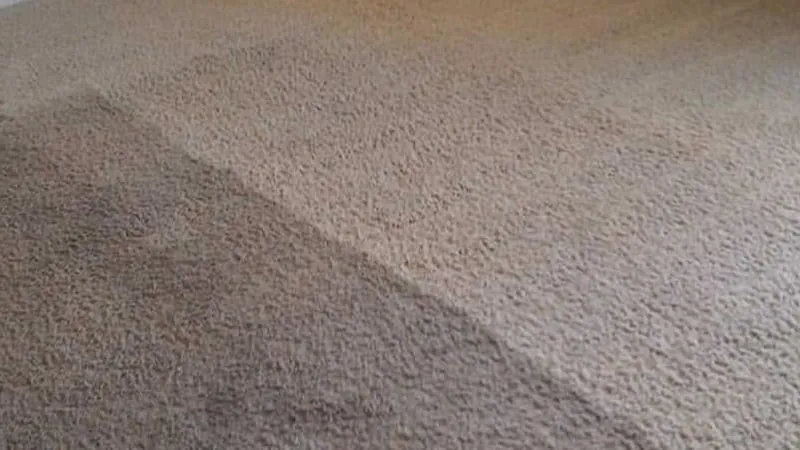 A carpeted floor split by a clear diagonal line, the cleaned side lighter and brighter than the untouched side beside it