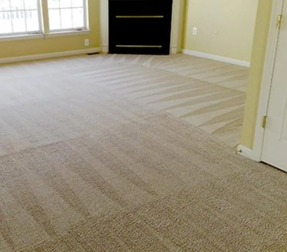 An empty room with freshly cleaned pale carpet, groom lines fanning out from the doorway
