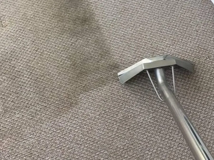 A stainless cleaning wand on looped carpet with a freshly cleaned band running away from the head