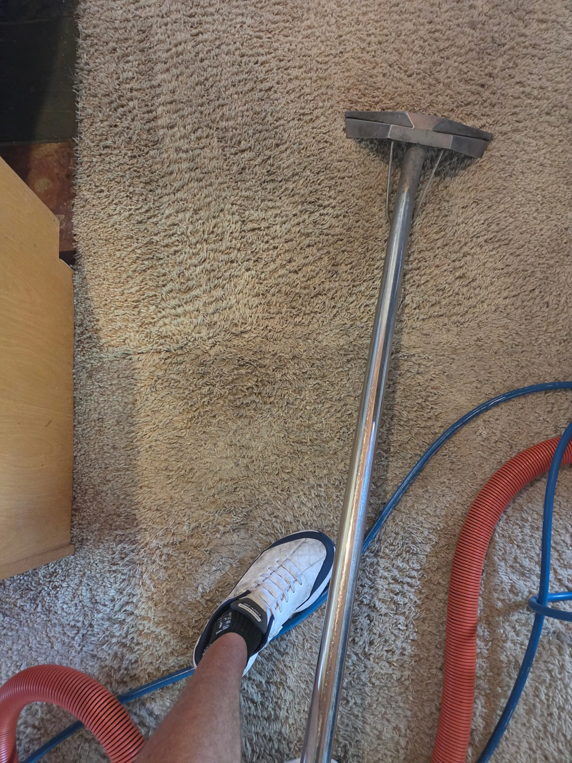 Looking down at deep pile carpet mid-clean, with a cleaning wand and a red vacuum hose across the frame