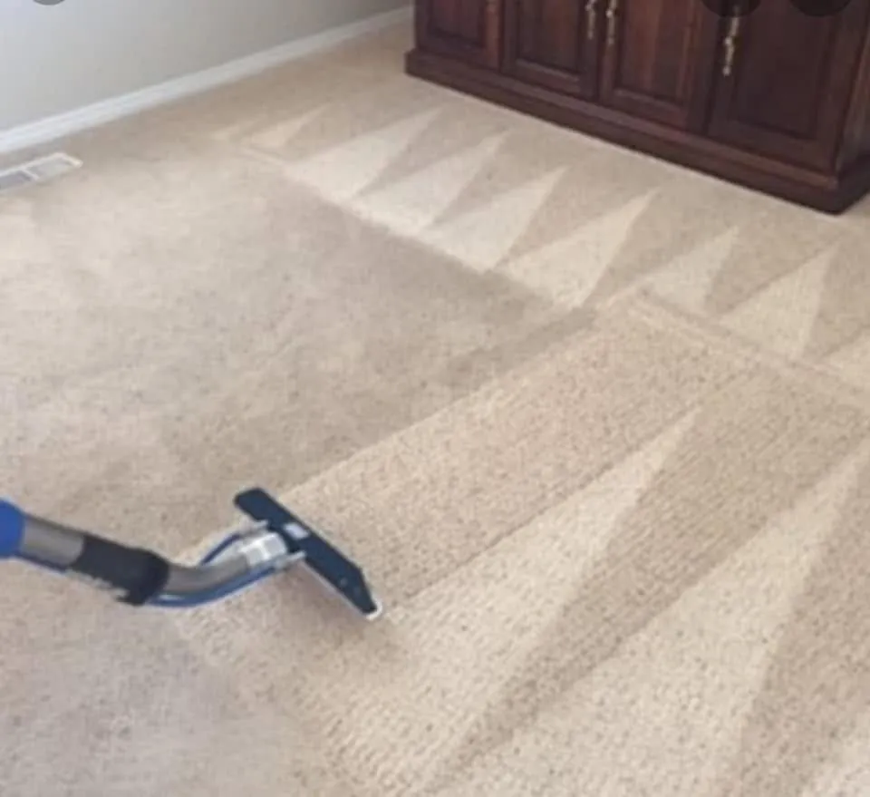 A stainless cleaning wand resting on pale carpet, with a fresh chevron pattern groomed into the pile behind it